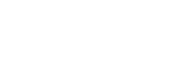 11 years in business